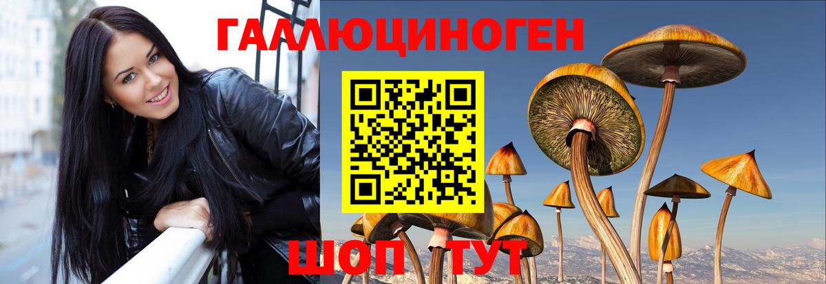 Минеральные Воды  Галлюциногенные грибы Magic Shrooms  Вход с VPN 