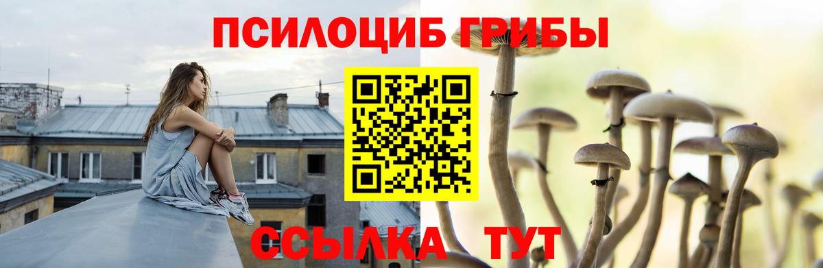 Псилоцибиновые грибы Psilocybe Минеральные Воды